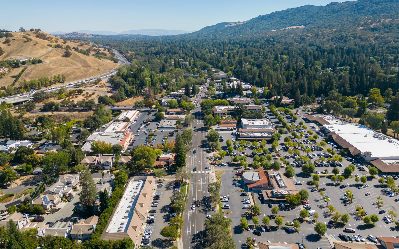 Alamo - Alamo, CA 001