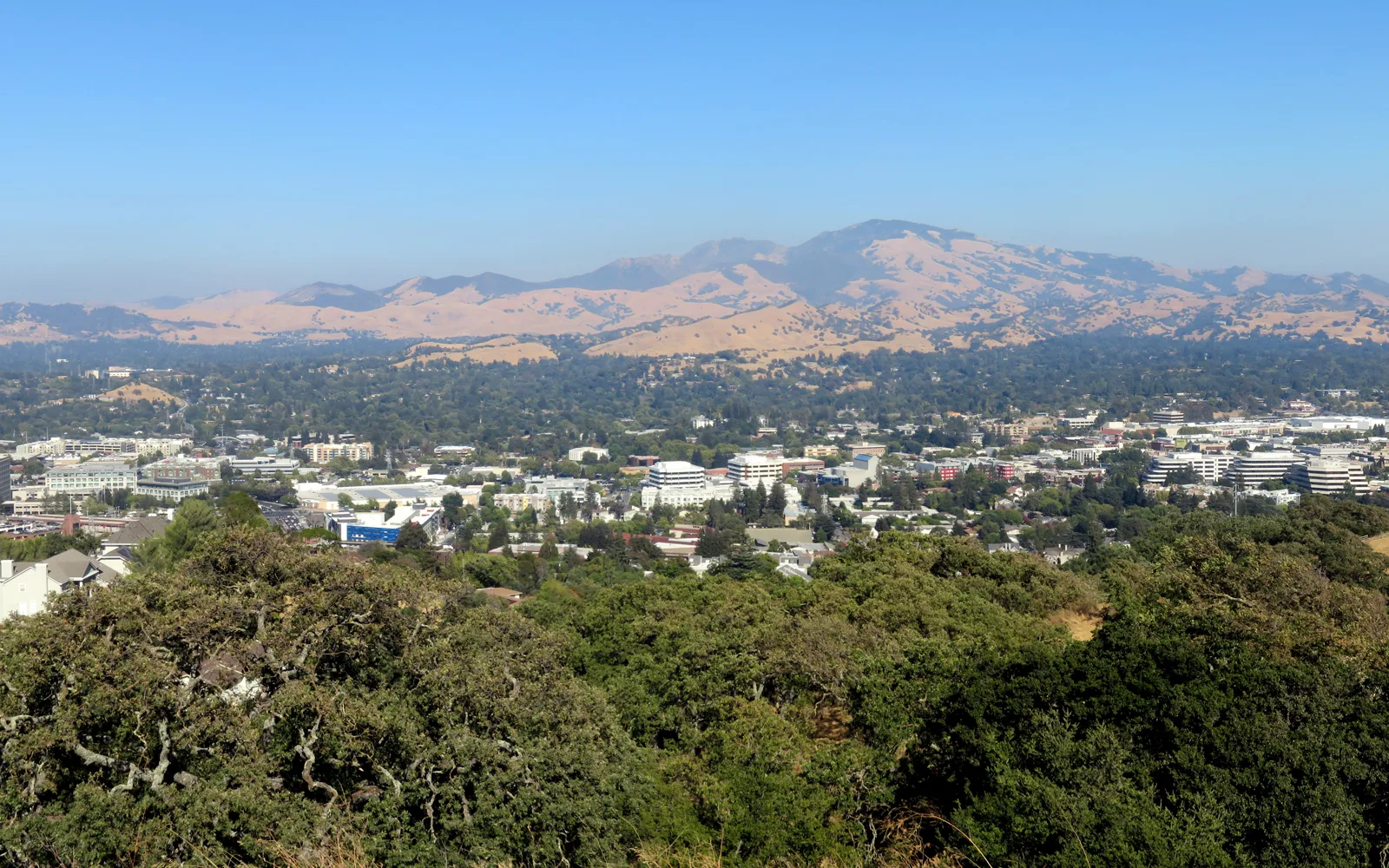 Walnut Creek - Walnut Creek panorama from hill, August 2018
